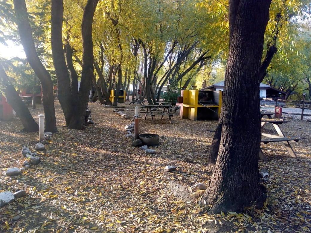 Camping Y Hostal El Ovejero El Calafate Exterior foto